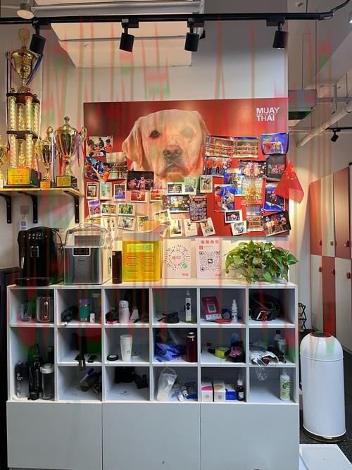 探索金年会体育综合版带来的独特体验 探索金年会体育综合版带来的独特体验